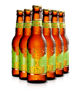 שישיית בירה שקמה IPA